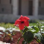 Magnolia (adults Only) Hotel Kateleios