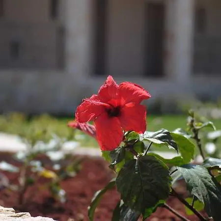 Magnolia Hotel Katelios