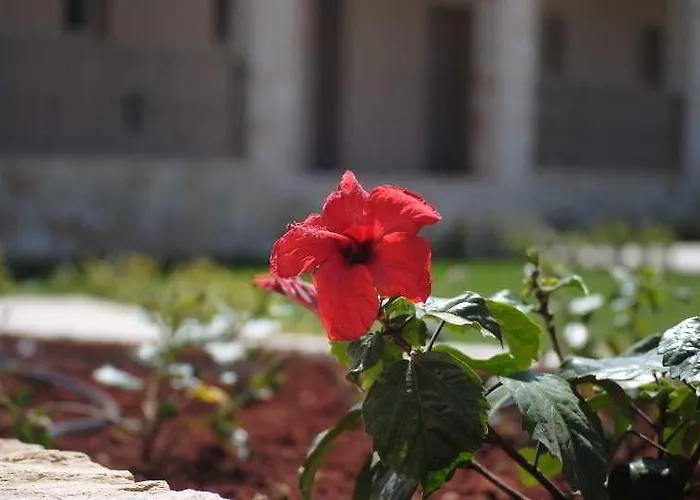 Magnolia Hotel Katelios